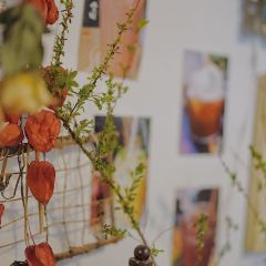 食味張用戶圖片