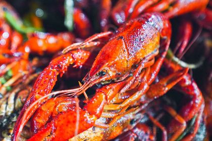 益松龙虾(桓裕广场店)