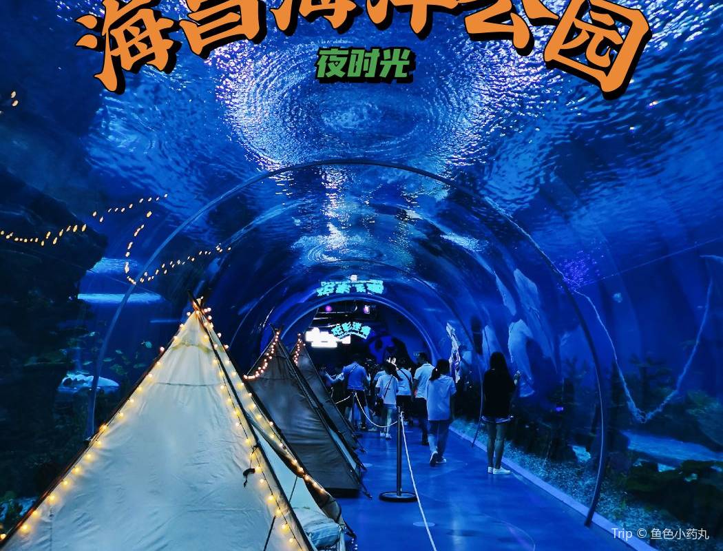 上海海昌海洋公園の見どころ5選