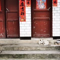 BO RUI CI JIU DIAN JIA LAN XI CAN TING User Photo