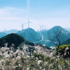 奇达渔家乐酒楼 User Photo