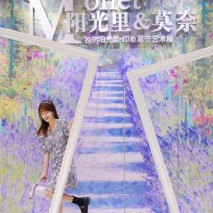 阳光里 ảnh của người dùng