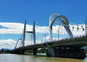 龍崗大橋