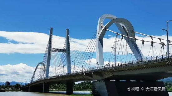 龍崗大橋