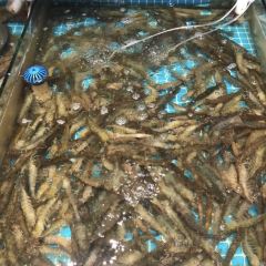 大锅强海鲜(城市阳台店) User Photo