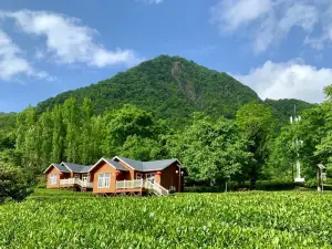 碧口古鎮