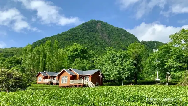 碧口古鎮