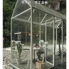 青芷森林·咖啡店 User Photo