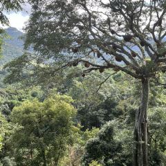拉祜人家 User Photo