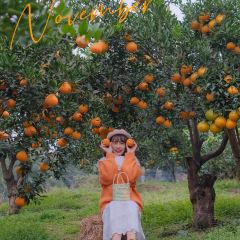 小馆·苔野 User Photo