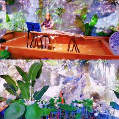 小柴湖張用戶圖片