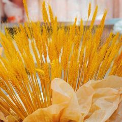 胡途爪热卤粉面(郴州友阿国际广场店) User Photo