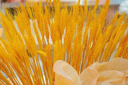 胡途爪热卤粉面(郴州友阿国际广场店)