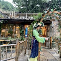 花木栏 User Photo