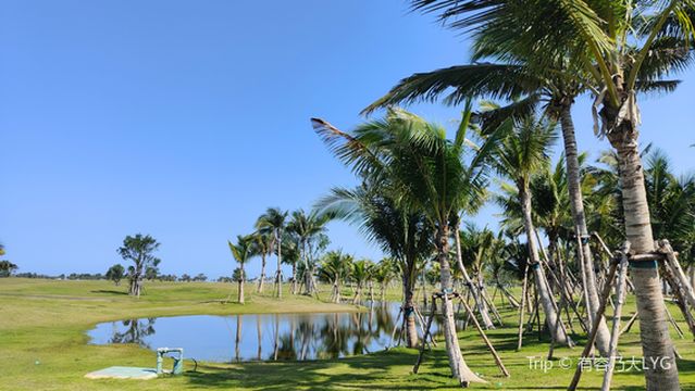 Ocean Flower Island Sea Viewing Platform