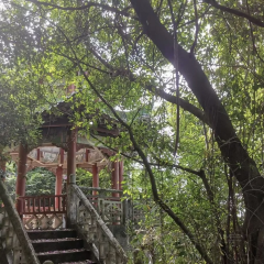 鐘大叔桂花烤羊用戶圖片