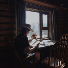禾慕咖啡商店 User Photo
