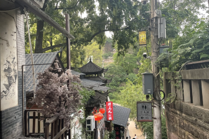 洋马儿火锅(磁器口店)