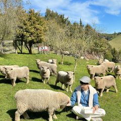 Tussock Hill Vineyard and Cellar Door Restaurant 여행 사진