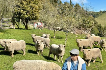 Tussock Hill Vineyard and Cellar Door Restaurant
