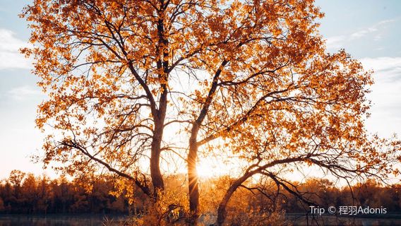 Yellow River Sheepskin Raft Drifting Center