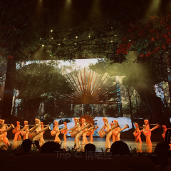 五德酒家 User Photo