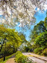 Fort Canning Park