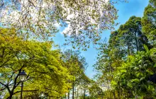 Fort Canning Park