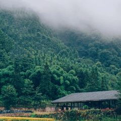 巴谷宿集 User Photo