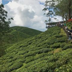 Starbucks User Photo