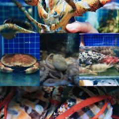 海棠湾 User Photo