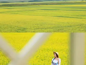 昭蘇天馬文化園