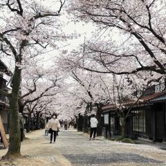 Ichiyou Main Store 여행 사진