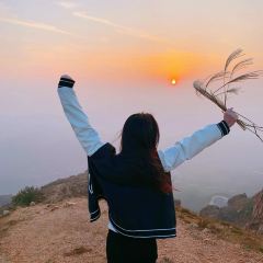 WU ZHI LING DA WAN CAI User Photo