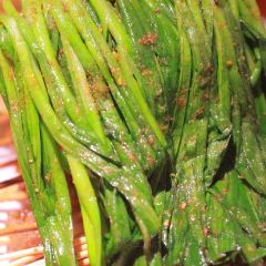 大成海鲜烧烤(打浦桥店) User Photo