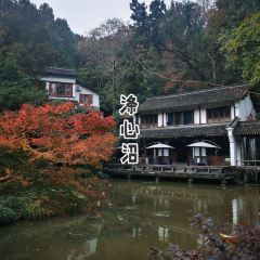Dixin Pool 여행 사진