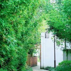 梨园雅舍 User Photo