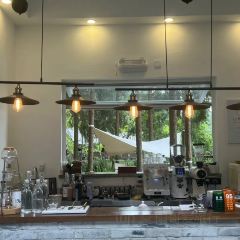 Wild Coffee Studio User Photo