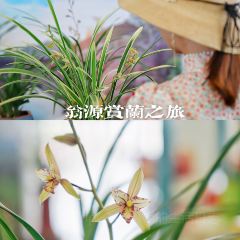 周陂美食城 User Photo