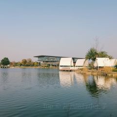 云里小坐·海泉湾·团建·聚会·下午茶(金堂海泉湾店) User Photo