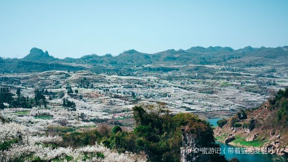 Aohe Ten-Thousand-Mu Cherry Orchard