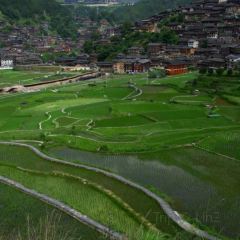 山房全景餐厅 User Photo