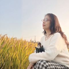 梅峰饭店 User Photo