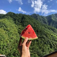 原舍揽树(松阳店)·人烟咖啡馆 User Photo