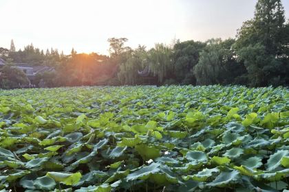 浔菜馆(古镇景区店)