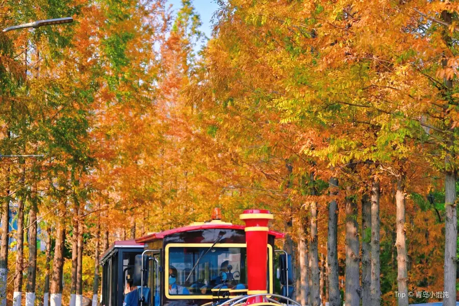 Qingdao International Horticultural Exposition