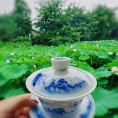 Xue Tao · In the Yard User Photo