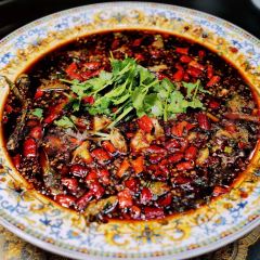 鑫金川鱼庄 User Photo