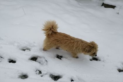 创意园姥家大锅台