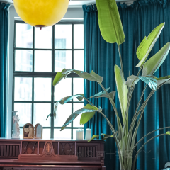 The Living Room User Photo